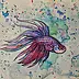 Danuta Kolis - Watercolor - Siamese fighting fish