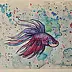 Danuta Kolis - Watercolor - Siamese fighting fish