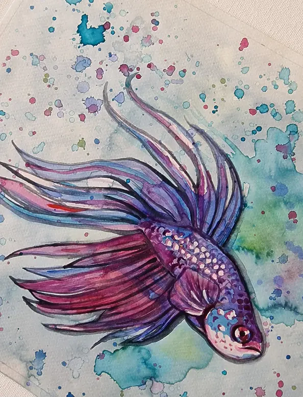 Danuta Kolis - Watercolor - Siamese fighting fish
