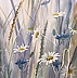 Lidia Olbrycht - Diptyque aquarelle "Prairie"