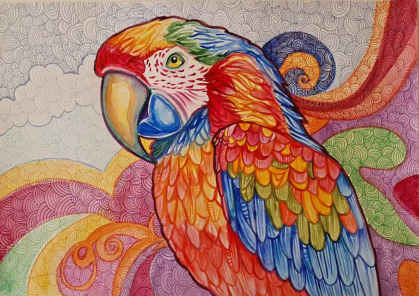 Danuta Kolis - Watercolor - Colorful parrot