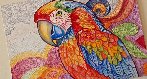Danuta Kolis - Watercolor - Colorful parrot