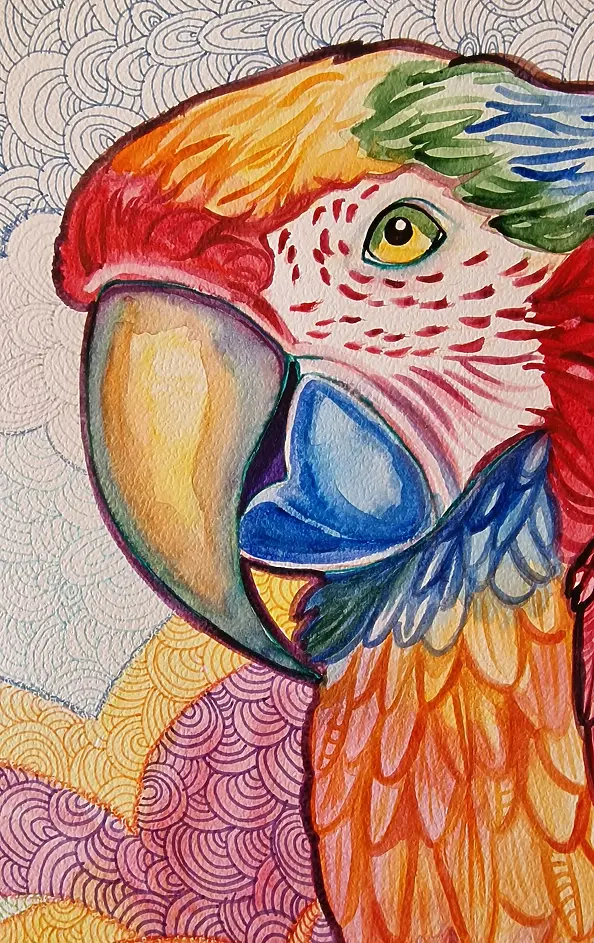 Danuta Kolis - Watercolor - Colorful parrot