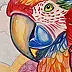 Danuta Kolis - Watercolor - Colorful parrot