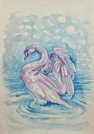 Danuta Kolis - Watercolor - Swan