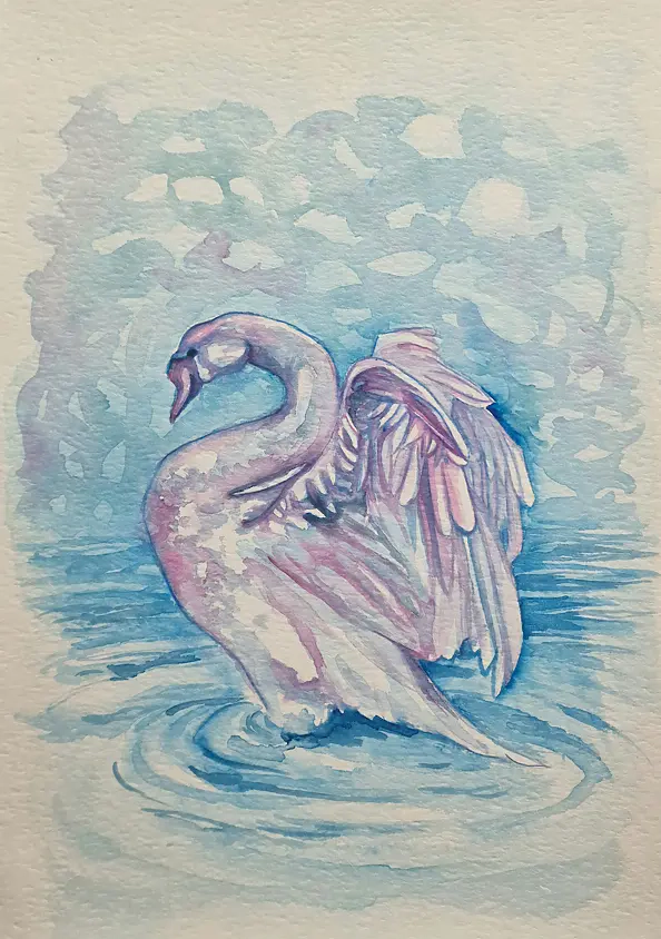 Danuta Kolis - Watercolor - Swan