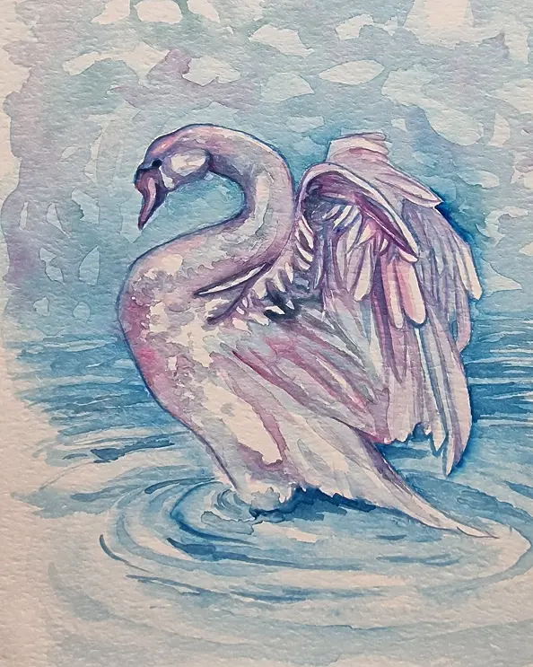 Danuta Kolis - Watercolor - Swan