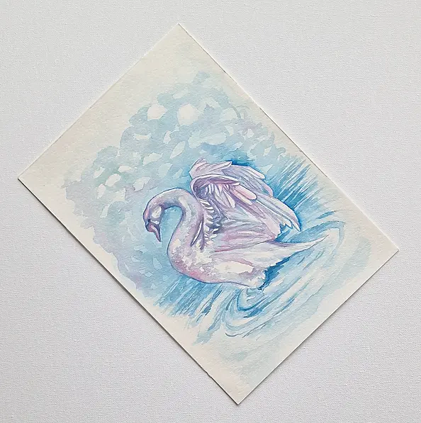 Danuta Kolis - Watercolor - Swan