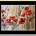 Lidia Olbrycht - Watercolor "Poppies"