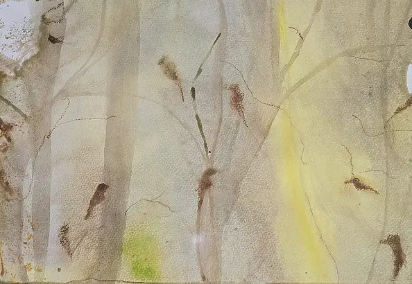 Ewa Mościszko - Watercolor painting entitled Forest Songs