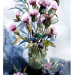 Teresa Kopańska - Akwarelowy poemat o ostach 