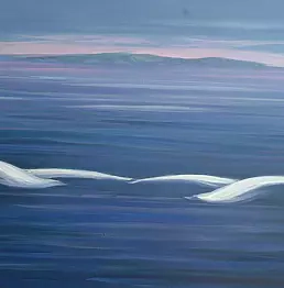 Salvatore Fratantonio - Albatross on the Mediterranean