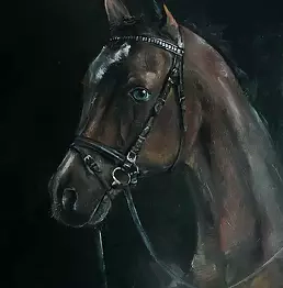 Janusz Zgoł - Allegory