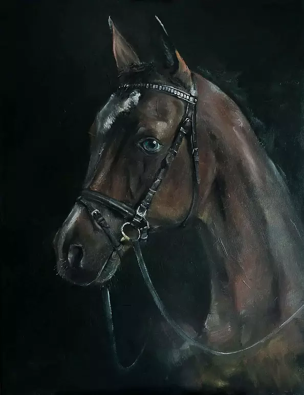 Janusz Zgoł - Allegory