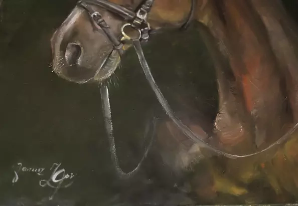 Janusz Zgoł - Allegory