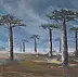 Danuta Zgoł - Allée des baobabs