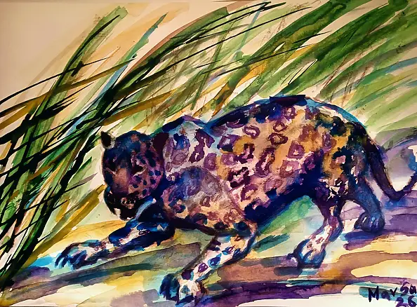 Marzena Salwowska, Alert RCB: Przyczajony jaguar widziany w Polsce w okolicach Torunia technika: tusze akrylowe i ak, Akwarele, Tusz - papier, 42 x 30
