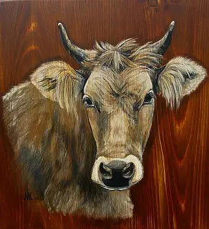 Katarzyna Niemczak - Alpejka