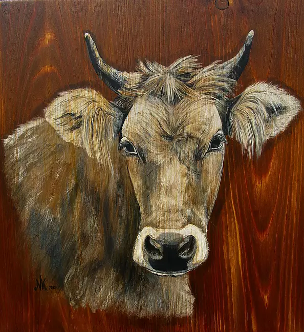 Katarzyna Niemczak - Alpejka