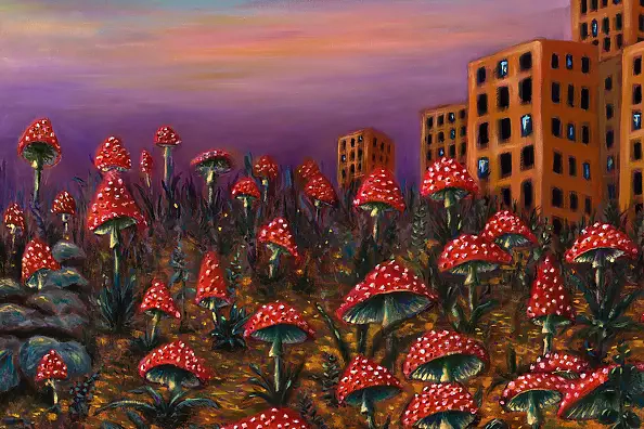 Mariusz Krzysztof Aniśko - Amanita Muscaria