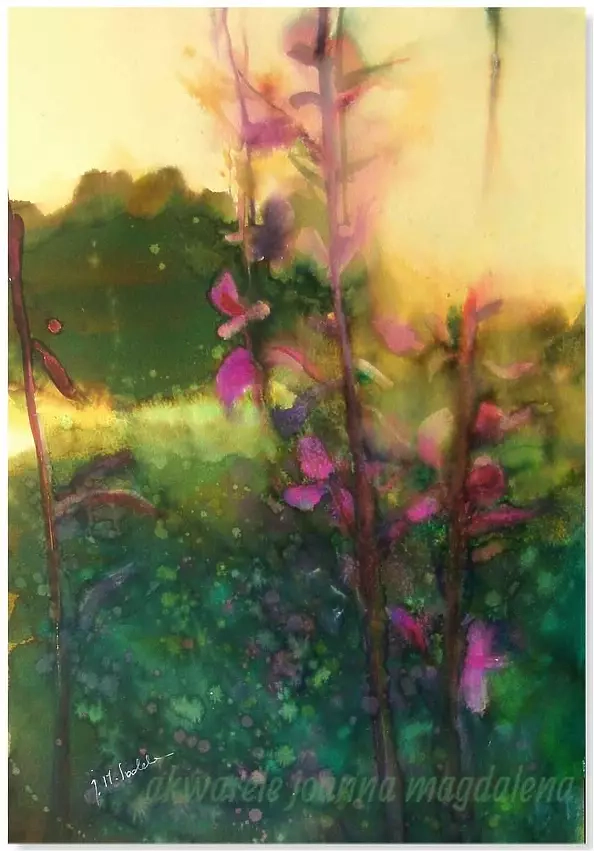 Joanna Magdalena - Amarant