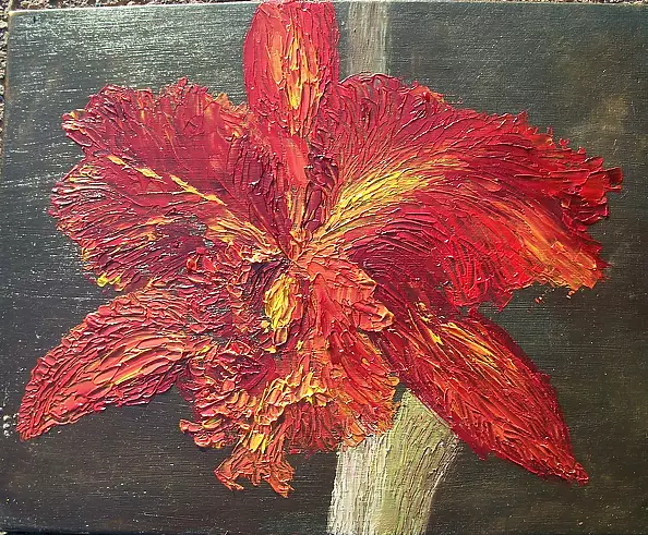 Antonina Radzięda - Amaryllis