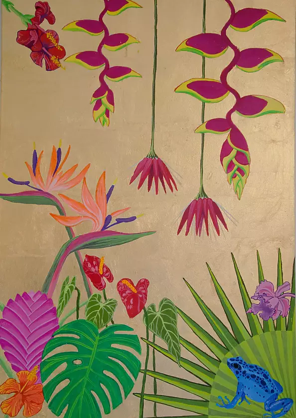 Aleksandra Gaweł Krajska - Amazonia