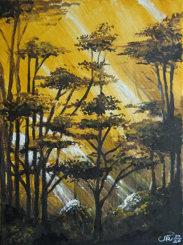 Ryszard Niedźwiedzki - Amazonia