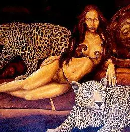 Christian Geai - Amazonka