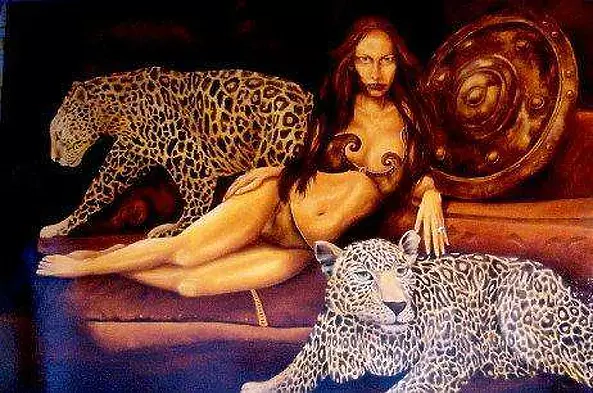 Christian Geai - Amazonka