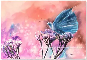 Joanna Magdalena - Ragweed