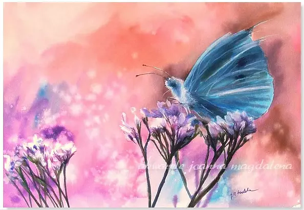 Joanna Magdalena - Ambrozja