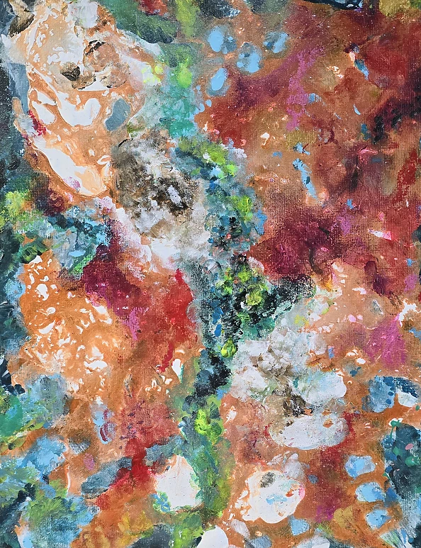 Ewa Mościszko - North America