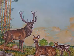 Weronika Stępień - Zwierzęta