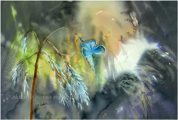 Joanna Magdalena - Amplituda