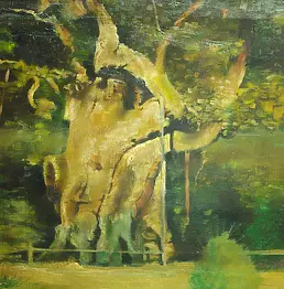 Rozalia Nowak - Oak Rogalin