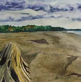 Simona Fiaschi - old trunk