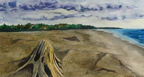 Simona Fiaschi - old trunk