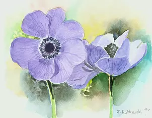 Zdzisław Rutkowski - Anemony