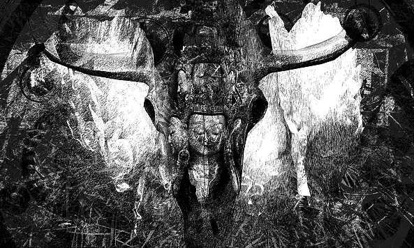 Adam Kurłowicz - Animus mundi