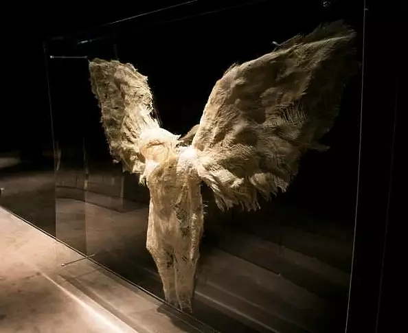 Małgorzata Jabłońska - Anioł