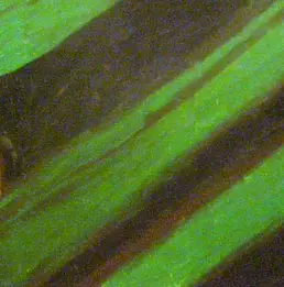 Dominik Smolik - Apartment house