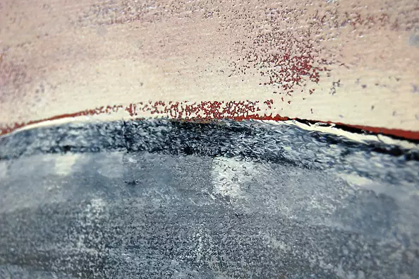 Amelia Augustyn - Apis