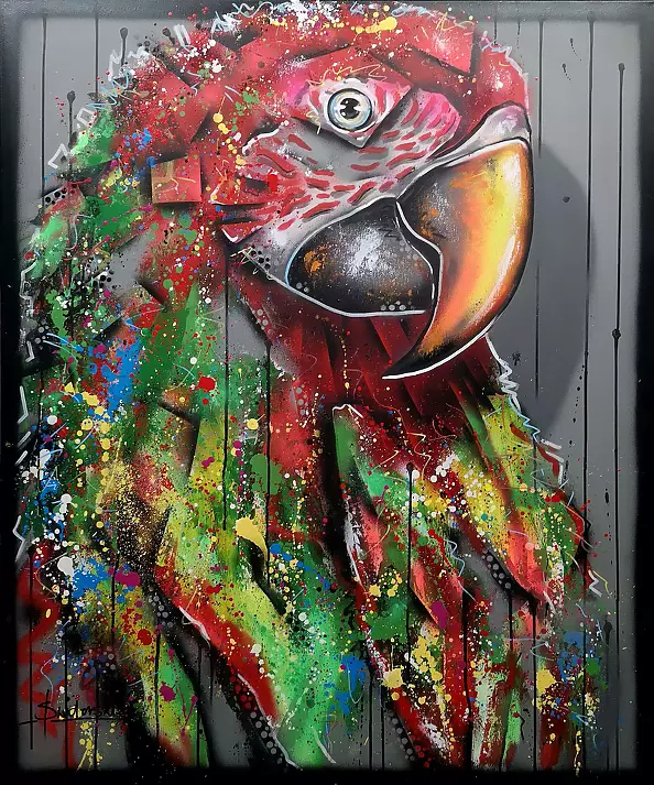 Paweł Świderski - Ara