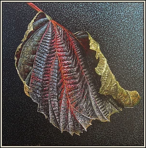 Marek Chomczyk - Architektura natury