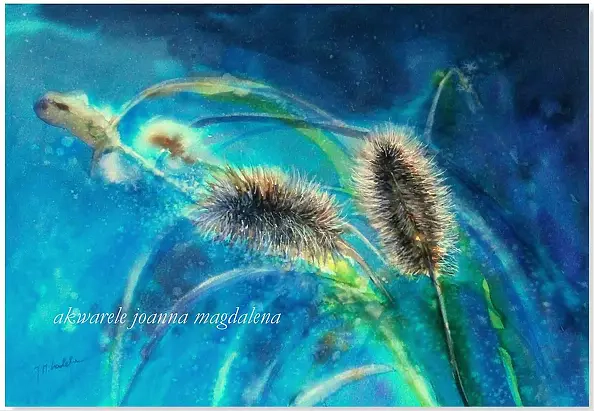 Joanna Magdalena - Assertiveness