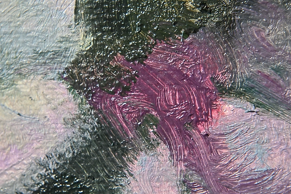 Agnieszka Długołęcka - Asters (C1)