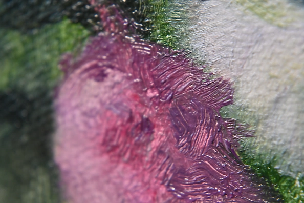 Agnieszka Długołęcka - Asters (C1)