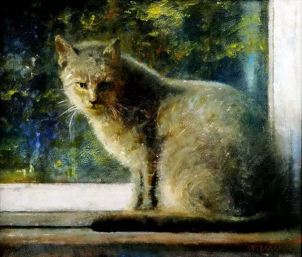 Piotr Pilawa - Cat parapet autumn 2