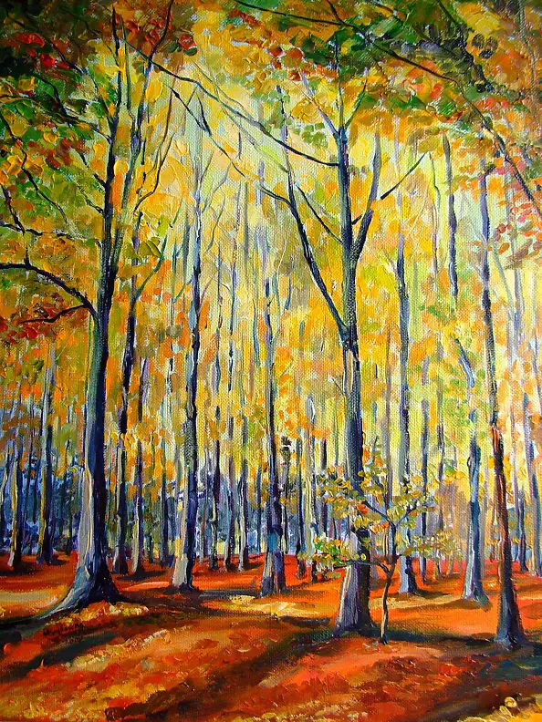 Magdalena Bronakowska - Autumn in the beech forest